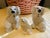 Antique Staffordshire Sign Poodle a Family - Set of 3 For Sale In Miami - Image 6 of 11