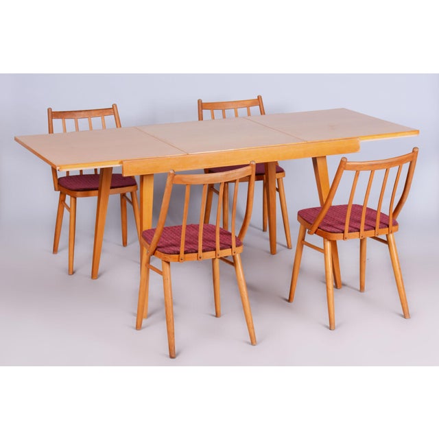 Mid-Century Modern Chairs by Antonín Šuman, 1960s, Set of 4 For Sale - Image 9 of 11