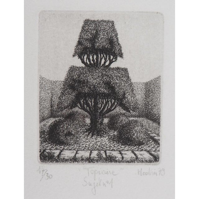 François Houtin, Topicure (Subject No. 1), 1979, Original Etching For Sale - Image 5 of 5