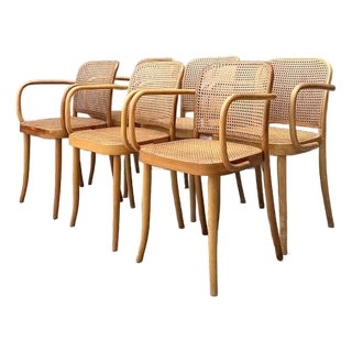 Vintage Stendig Bent Wood Cane Dining Chairs - Set of 6 For Sale