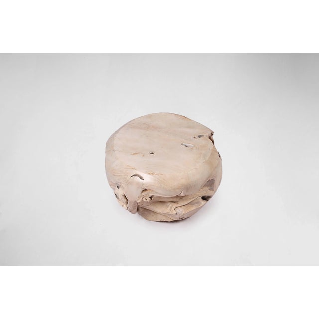 2020s Bleached White Teak Root Accent or Side Table or Stool 29 For Sale - Image 5 of 6