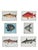 Vintage Coastal Folk Art Fish Painting – Trout For Sale - Image 11 of 11