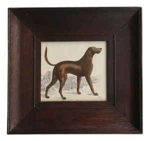 After Cpt. Brown, Bloodhound, 1847, Lithograph, Framed