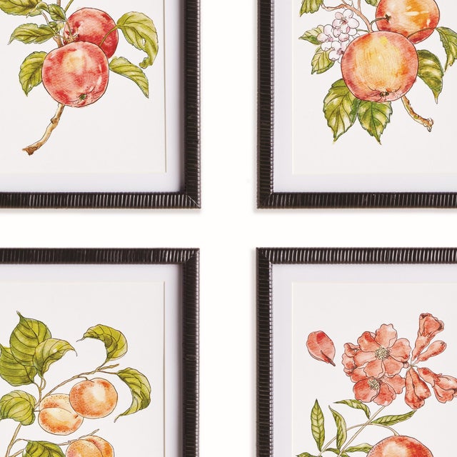 Farmhouse Autumnal Fruit Prints, Set Of 4 For Sale - Image 3 of 5