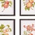 Farmhouse Autumnal Fruit Prints, Set Of 4 For Sale - Image 3 of 5