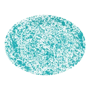 Crow Canyon Home Splatterware, Oval Platter in Turquoise & White
