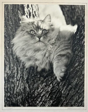 Paul Dunckhorst "Oscar" Black and White Photograph Circa 1943