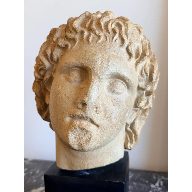 Grand Tour 1970s Grand Tour Style Roman Bust For Sale - Image 3 of 3