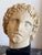 Grand Tour 1970s Grand Tour Style Roman Bust For Sale - Image 3 of 3