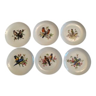 Late 20th Century Mottahedeh Aviary Dessert/Salad Plates- Set of 6 For Sale