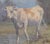 Realism Robert Atkinson Fox (1860-1935), Cow in a Stream, Gouache on Canvas Painting For Sale - Image 3 of 18