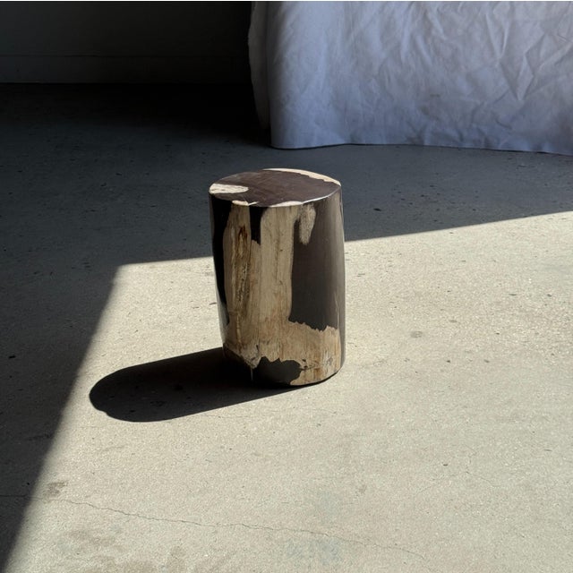 Small Side Table in Black and White Petrified Wood, 1980s For Sale - Image 15 of 18