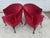 Pair of Red Velvet Vintage Tub Chairs For Sale - Image 12 of 12