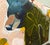 I painted this from a neighbor’s photo of a very large black bear in her yard. I added fun patterns and shapes all around....