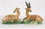 18th Century Ralph Wood-Type Stag and Hind Pearlware Pottery Figures For Sale - Image 4 of 15