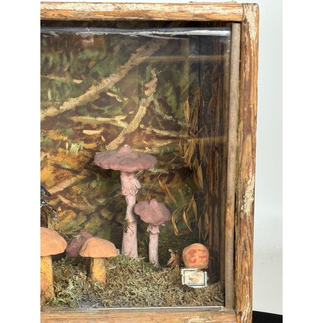 European Mushroom Diorama For Sale - Image 4 of 4