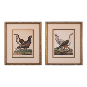 John Pass After Reinhold Eagle Engravings, c.1805