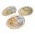 Natural Abalone Shell Collection, Set 3 For Sale