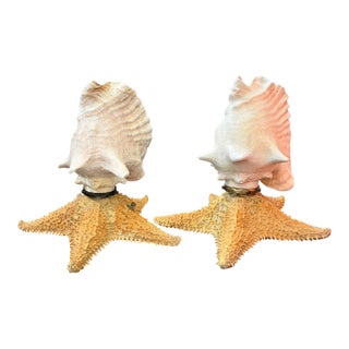 Vintage Natural Conch Shell & Starfish Coastal Table Lamps - a Pair For Sale