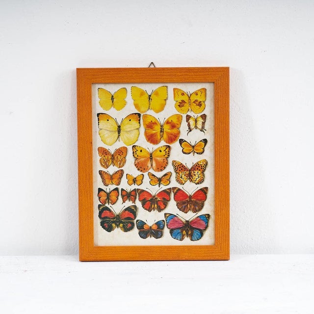 Unknown, Colorful Butterflies, 1970s, Wood For Sale - Image 5 of 5