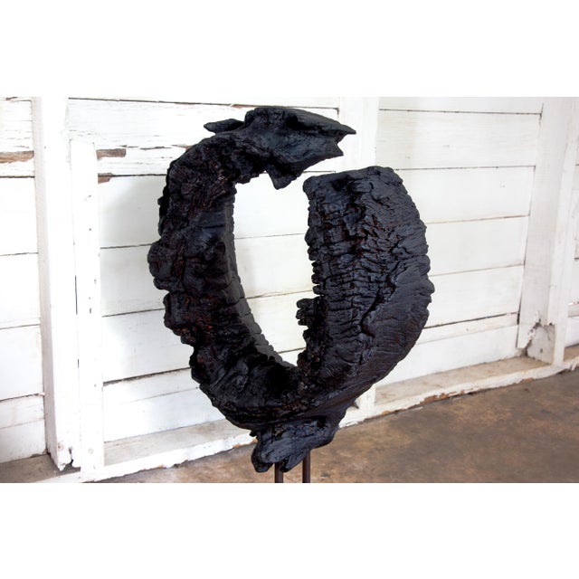 Kandara Yakisugi Modern Organic Sculpture For Sale In San Antonio - Image 6 of 11