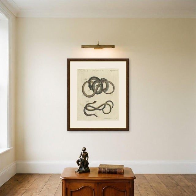 Bertuch, Four Snakes in Colourful Coils, 1805, Print For Sale - Image 10 of 12