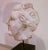 Beige Academic Sculpture Head of Aphrodite, 1950s, Wax For Sale - Image 8 of 12