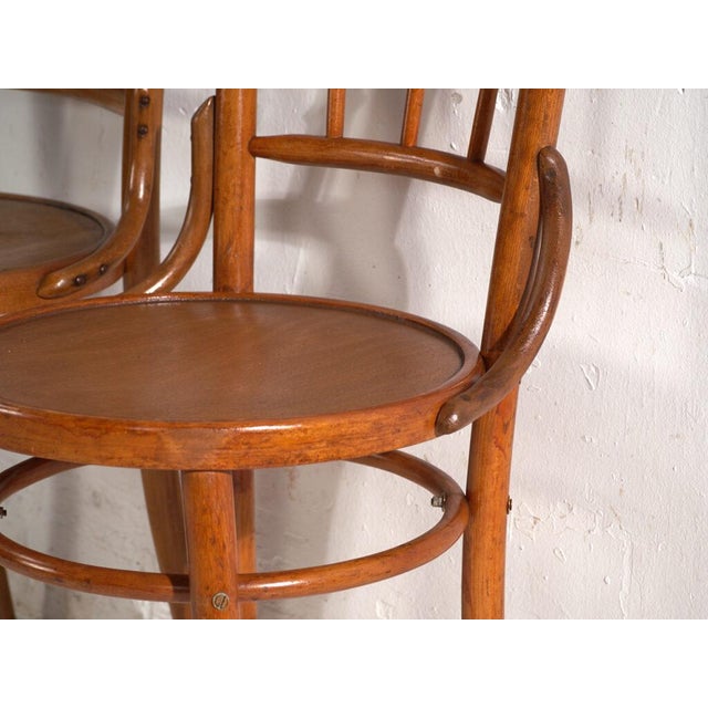Wood Bentwood Chairs in the style of Thonet, Central Europe, 1930, Set of 4 For Sale - Image 7 of 18