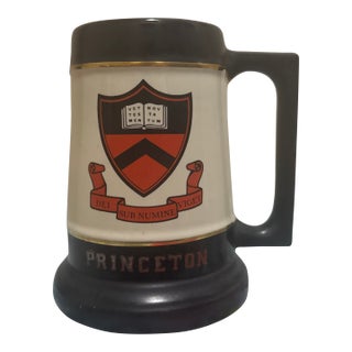 Vintage Americana Ivy League Princeton University Ceramic Beer Stein Tankard For Sale