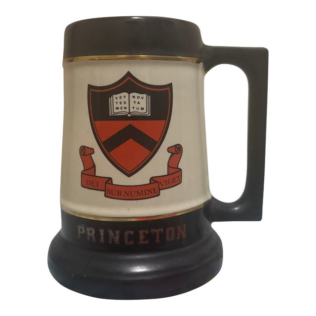 Vintage Americana Ivy League Princeton University Ceramic Beer Stein Tankard For Sale
