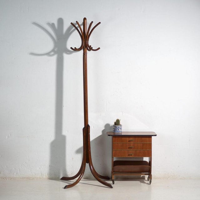 Antique Bentwood Coat Stand from Thonet, Central Europe, 1900 For Sale - Image 5 of 6