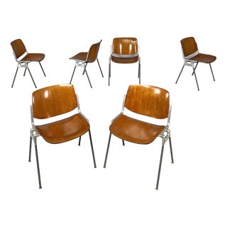 Italian Modern Wood DSC Chairs by Giancarlo Piretti for Castelli, 1970s, Set of 6 For Sale