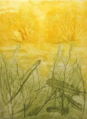 Janet Steveson Whiteside "Bear Creek" Hand Signed Unframed Etching, 1978