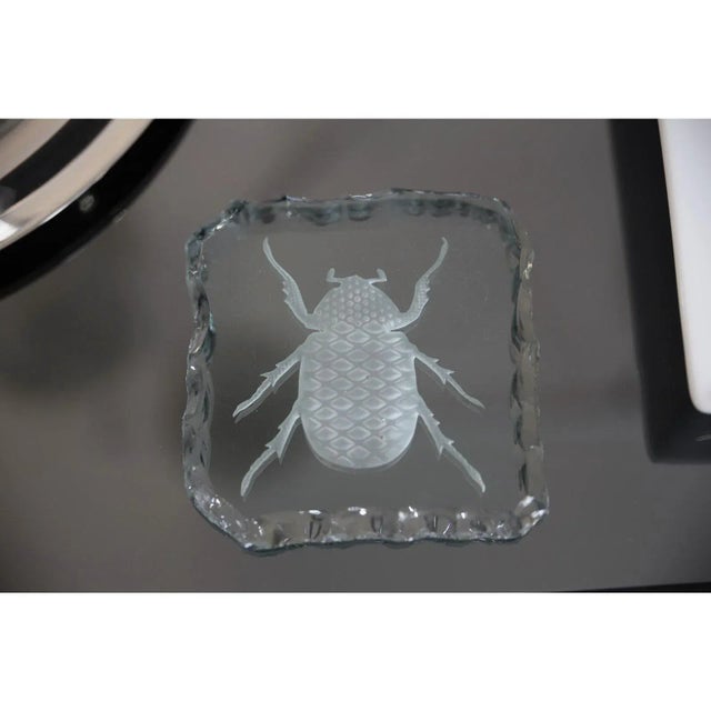 Glass Engraved Scarab Beetle Coaster For Sale In Miami - Image 6 of 12