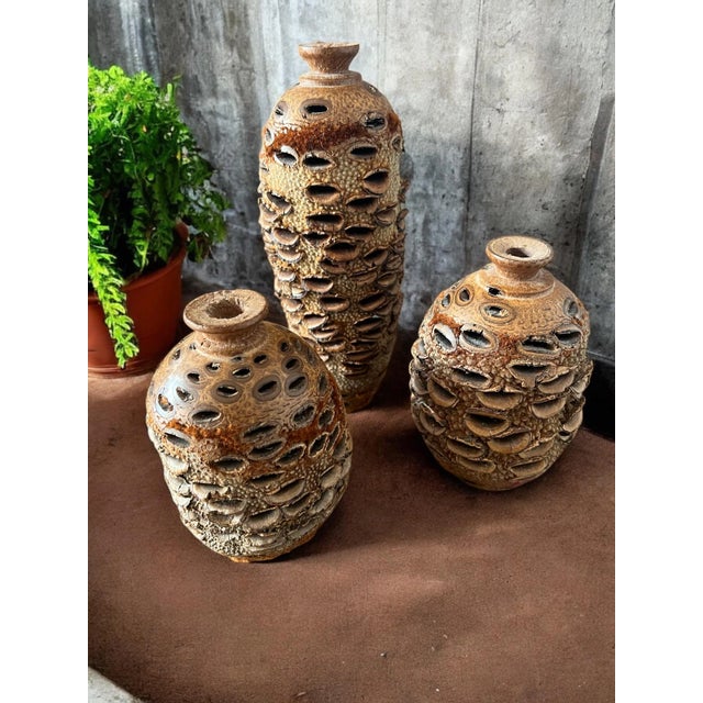 Vintage Organic Banksia Seed Vases- Set of 3 For Sale - Image 4 of 12