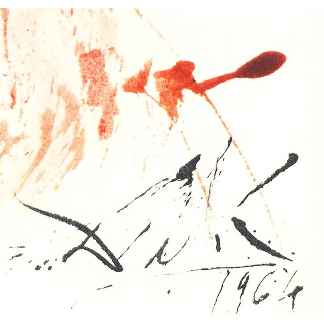 Salvador Dalí 1967 Salvador Dalí Biblia Sacra Lithograph "Sanctus Hieronymus" (St. Jerome) For Sale - Image 4 of 10