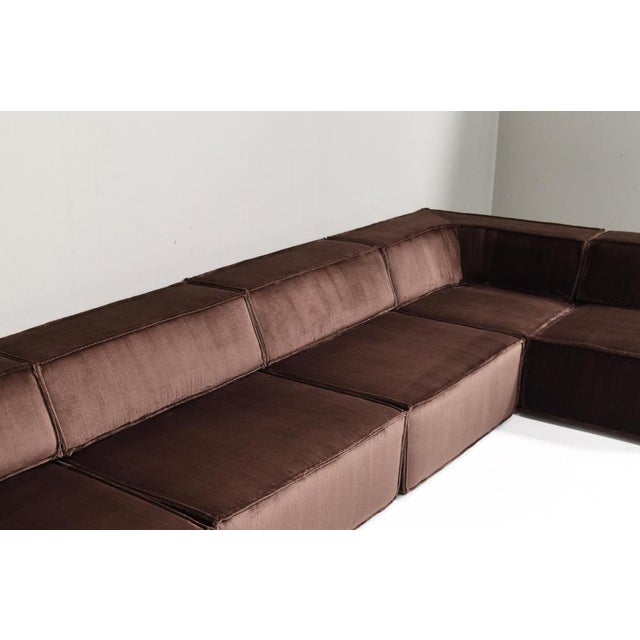 Trio Sectional Sofa in Chocolate Brown Velvet with New Upholstery from Cor, 1972, Set of 10 For Sale - Image 6 of 18