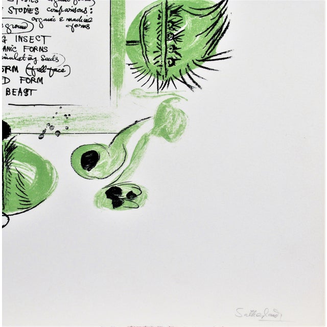 Graham Sutherland, "Frontpiece to a Bestiary" From the suite "Bestiary and some Correspondences" For Sale - Image 4 of 5