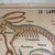 Paper Vintage School Poster of Insectivorous Animals / Rabbit, 1950s For Sale - Image 7 of 11