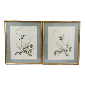 Pair of Matted and Framed 18th Century Chinese Brush Paintings of Birds