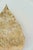 Vintage French Hand-Painted Gold Leaf Tôle Wall Sconces, 1970s, Set of 2 For Sale - Image 6 of 16