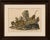 Antique Leopard & Panther Lithograph by Karl Joseph Brodtmann, 1816 This striking early 19th-century hand-colored...