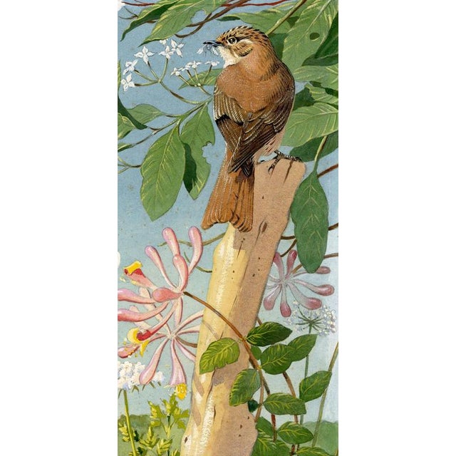 An original c.1950 gouache painting – William Neave Parker, Treecreeper Bird with Honeysuckle.A charming illustration by...