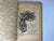 Paper Antique Alice in Wonderland Book: Illustrated 1800s Edition For Sale - Image 7 of 10