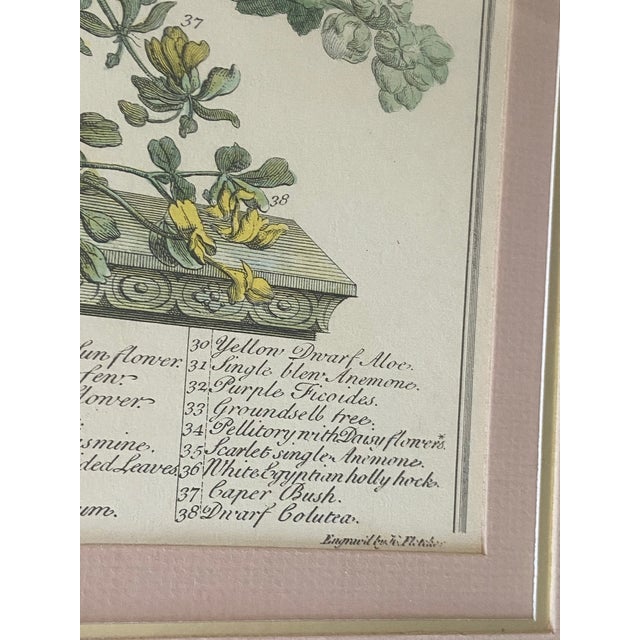 Vintage Robert Furber November Botanical Calendar Print, Framed For Sale - Image 10 of 12