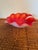 Beautiful Murano dish. 1960’s. Seguso. Persimmon and red with gold flecks. White back with Murano label on the back....