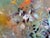 Plastic Ovidiu Kloska, Eternal Still Life, 2026, Acrylic, Framed For Sale - Image 7 of 8