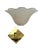 Shell Shaped Glass Wall Lights in the style of La Murrina, 1980s, Set of 2 For Sale - Image 10 of 13