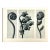 Antique Botanical Blossfeldt Print - No. 33 For Sale