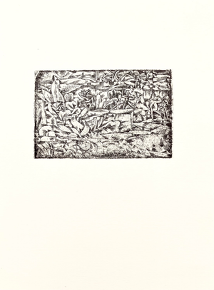 1947 Paul Klee Engraving 13 Garden of Passion 1913 Reproduction